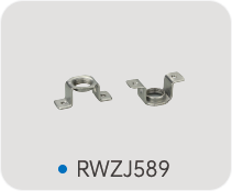 RWZJ589.png